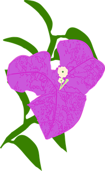 90以上の無料ブーゲンビル 花画像 Pixabay