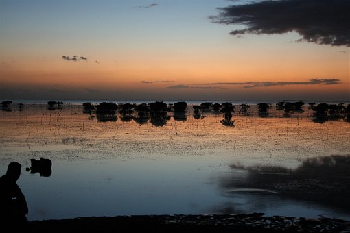 Sunset, Sun, Set, Dusk, Silhouette