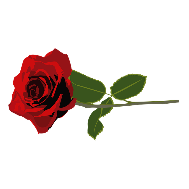 Free Flower Red illustration and picture