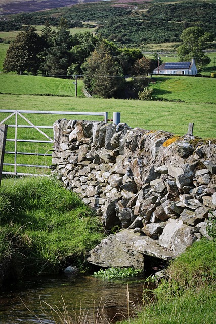 Pared De Piedra, Portón, Viejo, Roca