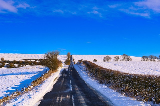 Nieve, La Carretera, Invierno, Paisaje