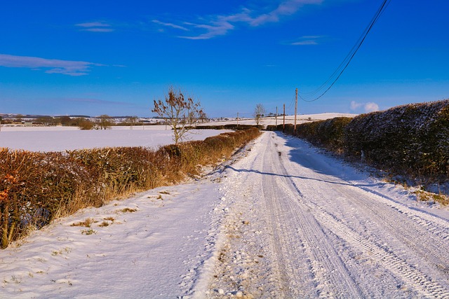 Nieve, La Carretera, Paisaje, Frío