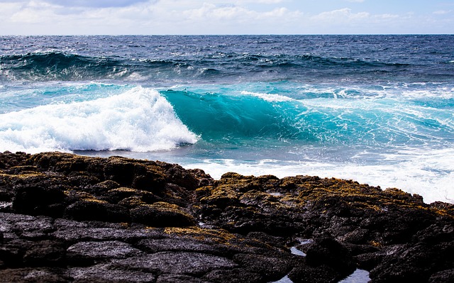 Free Mauritius Coastline photo and picture