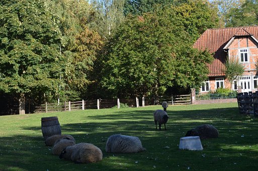Free Farm Yard Animals photo and picture