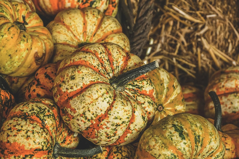 Courge Patidou 600g