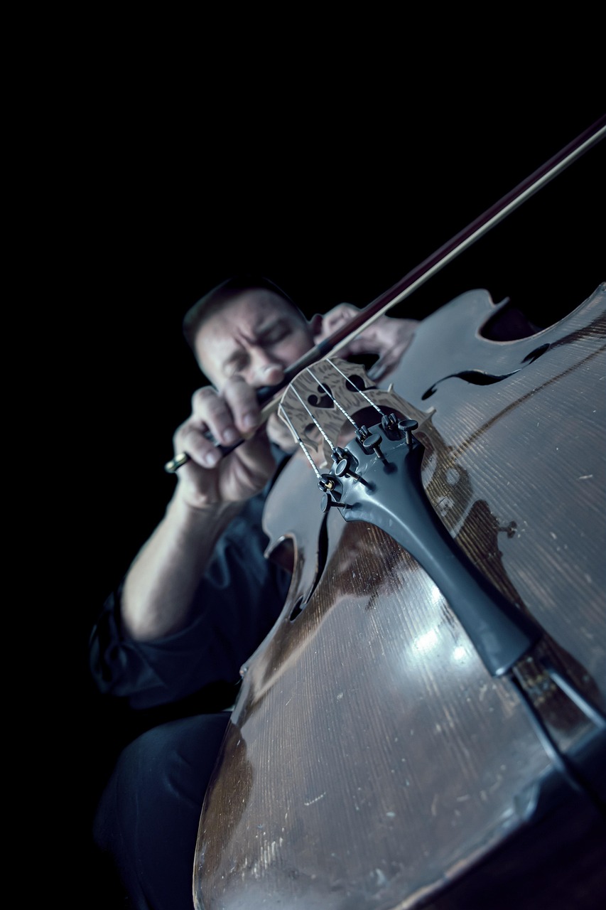 Cello Performance Orchestra - Free photo on Pixabay
