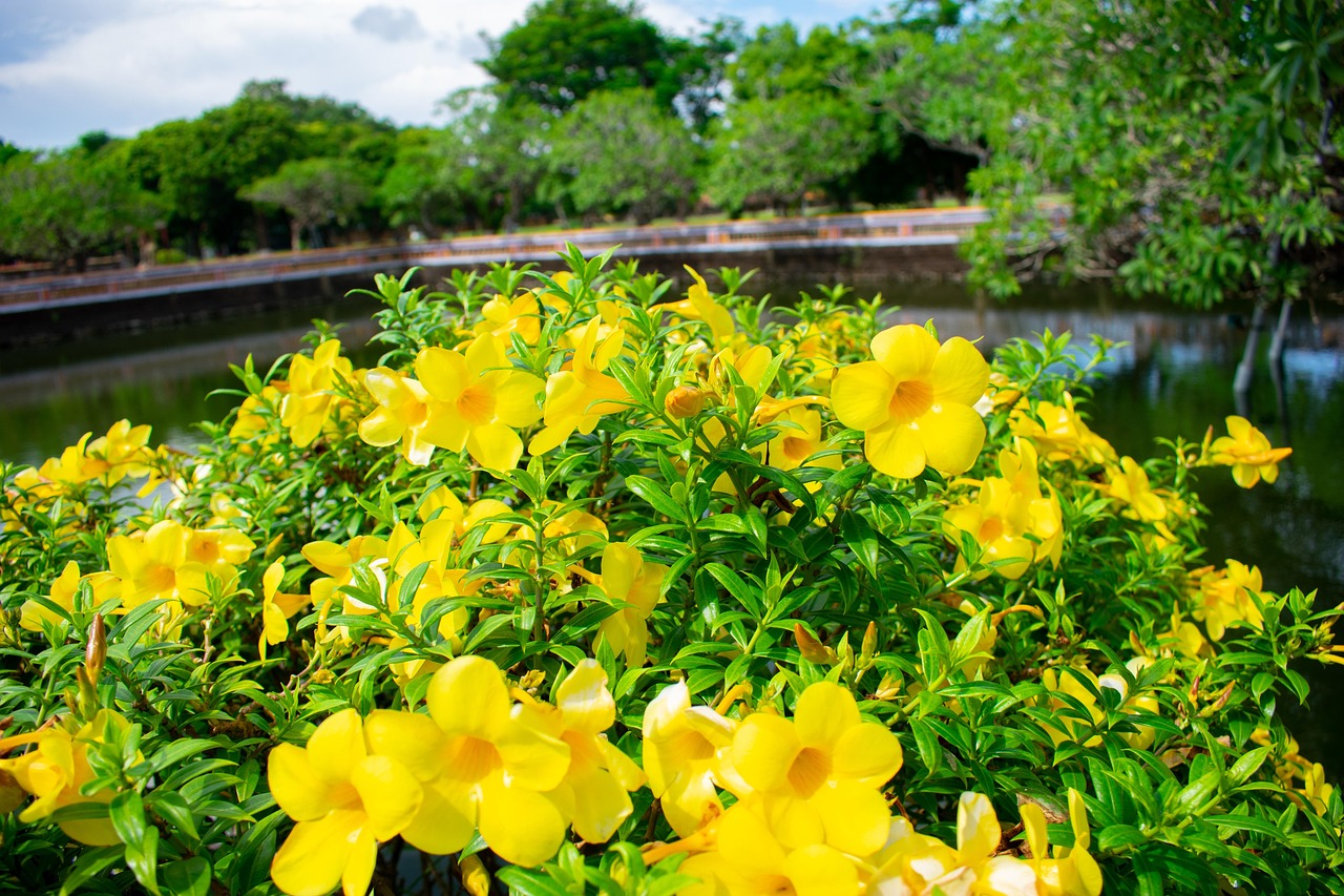 Flowers - free online jigsaw puzzle photo