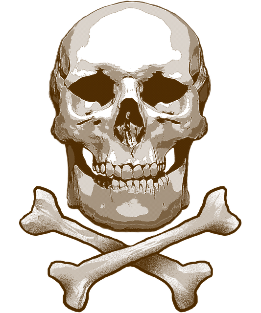 Teschio E Ossa Incrociate, Cranio