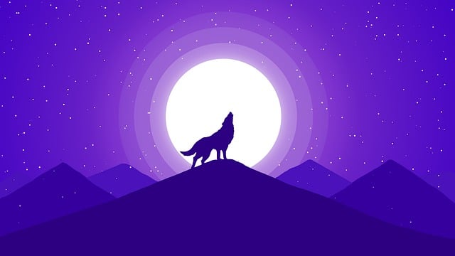 Free nature wolf mountain illustration