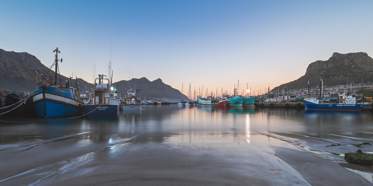 Take a boat trip from Hout