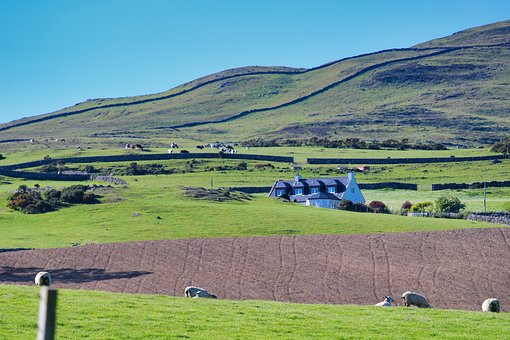 Bauernhof, Hügel, Landschaft, Natur