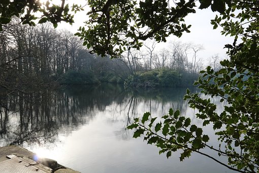See, Bäume, Natur, Wasser, Landschaft