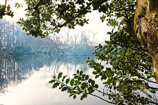 See, Bäume, Natur, Wasser, Landschaft