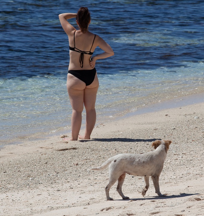 beach-4497175_960_720.jpg
