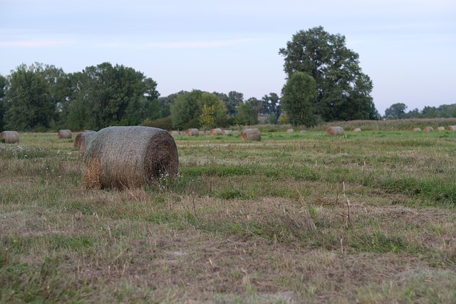 Stack Hay Background - Free photo on Pixabay