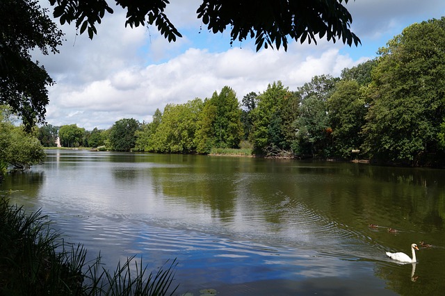 Free Lake Park Wörlitz photo and picture