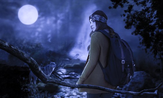 Mond, Abenteuer, Nacht, Wolf, Natur