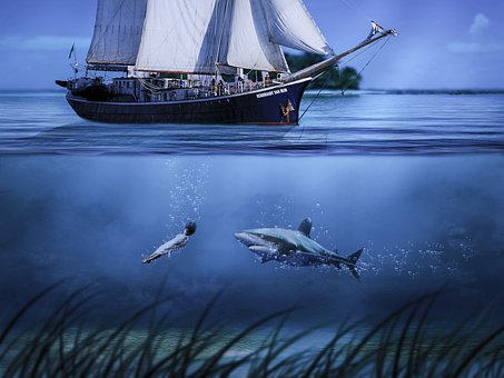 Hai, Pirat, Schiff, Meer, Unterwasser