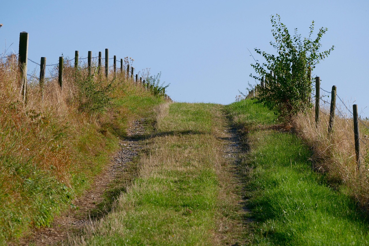 Relever Chemin La Nature - Photo gratuite sur Pixabay - Pixabay