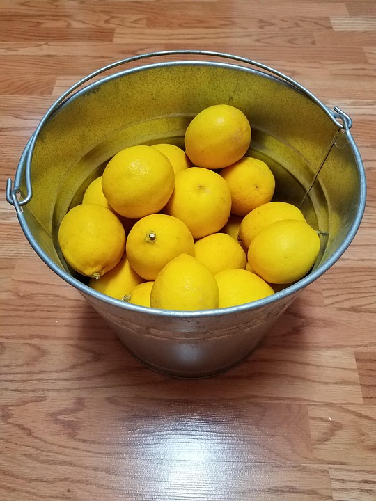 Lemon Bucket Yellow Lemons Free photo on Pixabay Pixabay