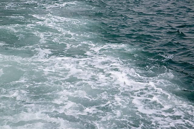 Free Sea Wave photo and picture