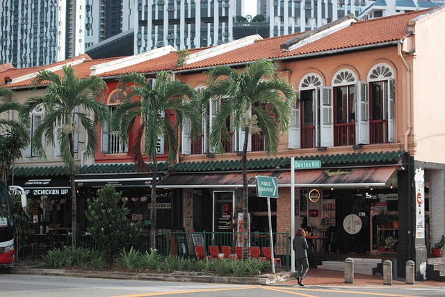 Alte Stadt, Singapur, Häuser, Gebäude