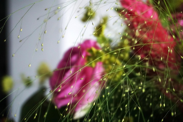 Free Plant Flower photo and picture