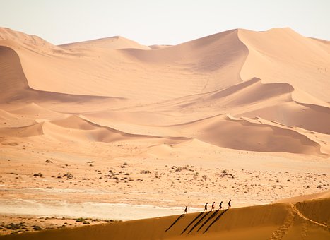 Free Desert Nature photo and picture