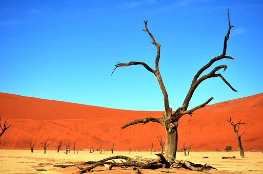 Free Desert Drought photo and picture