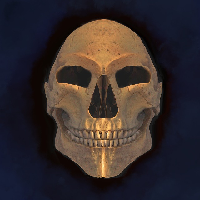 Free skull halloween dead illustration
