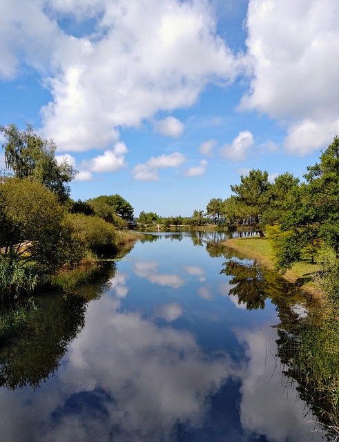 Free Bordeaux Lake photo and picture
