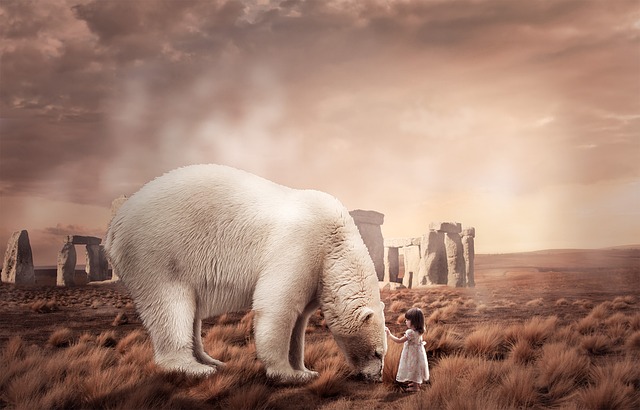 Photoshop, Manipulation, Fantasie