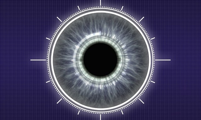 Free biometrics eye security illustration