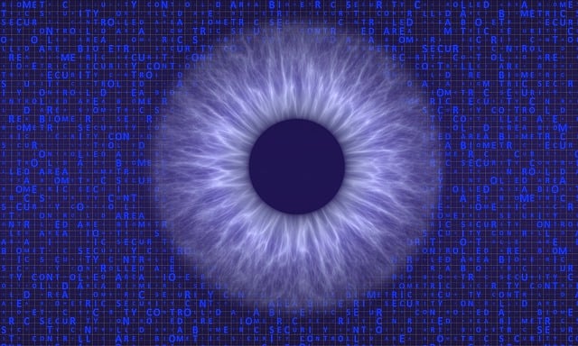 Free biometrics access authentication illustration