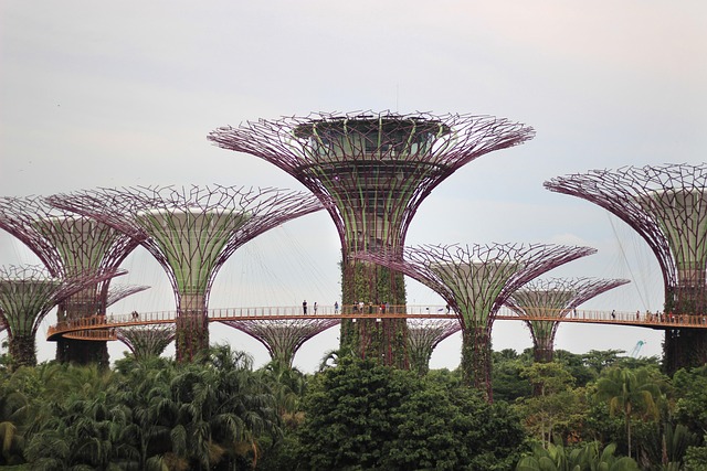 Garten, Singapur, Garten An Der Bucht