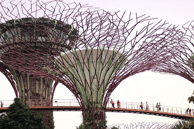 Garten, Singapur, Garten An Der Bucht