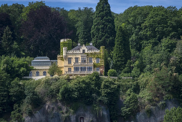 Free Rhine Castle photo and picture