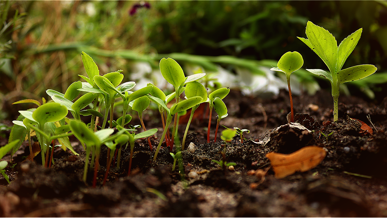 Notre sélection du TOP 5 des meilleurs livres sur la permaculture Notre sélection du TOP 5 des meilleurs livres sur la permaculture