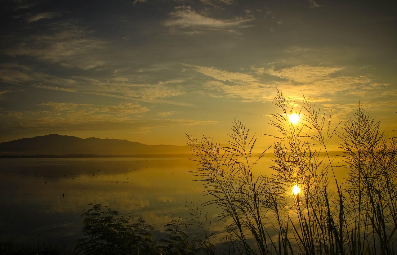 日出 早晨 景观 - Pixabay上的免费照片 - Pixabay
