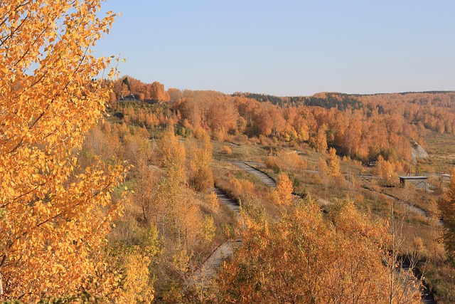Free River Autumn photo and picture