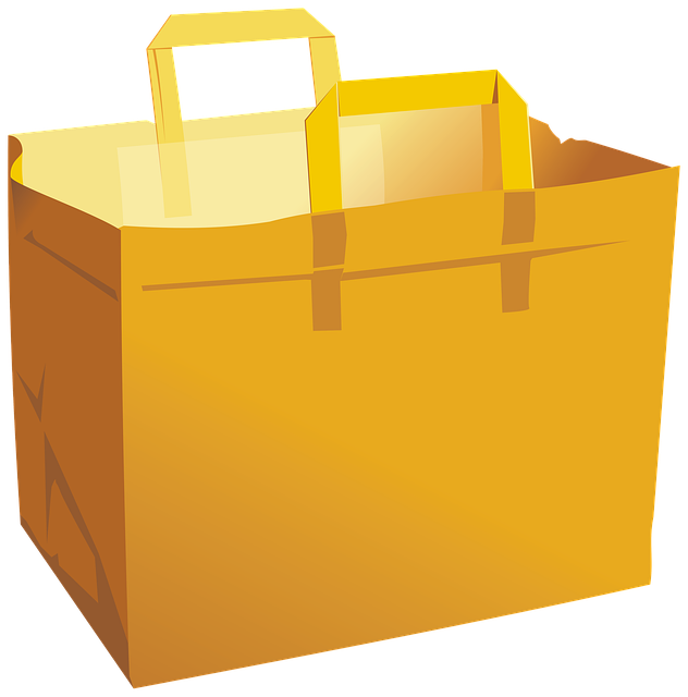 Free bag paper bag paper illustration