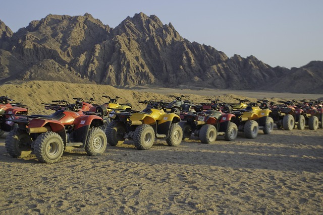 Quad, Ørken, Solopgang, Natur, Udendørs