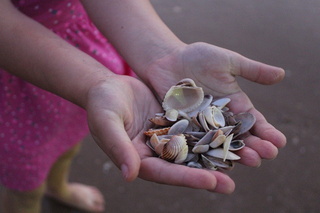Free Shells Hands photo and picture