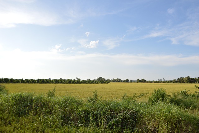 Free Farm Vietnamese photo and picture