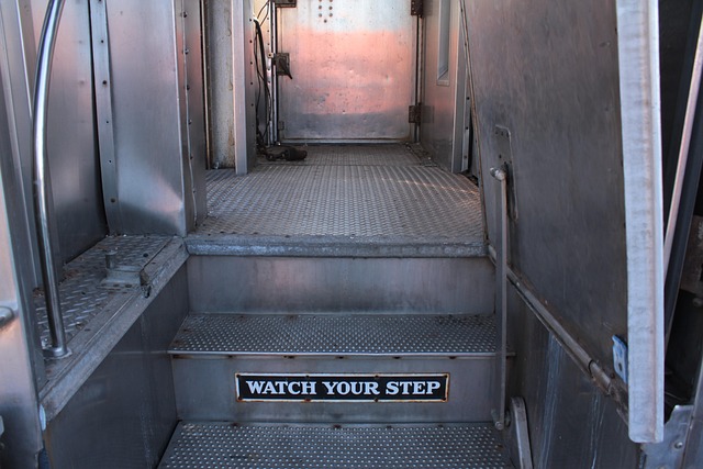 Free Passenger Passengers photo and picture