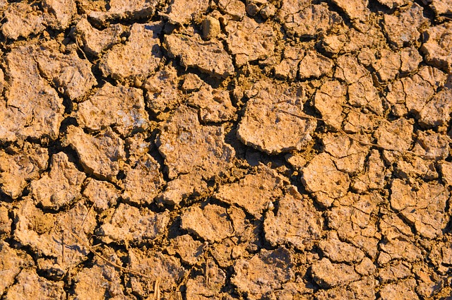 Free Dry Dirt photo and picture