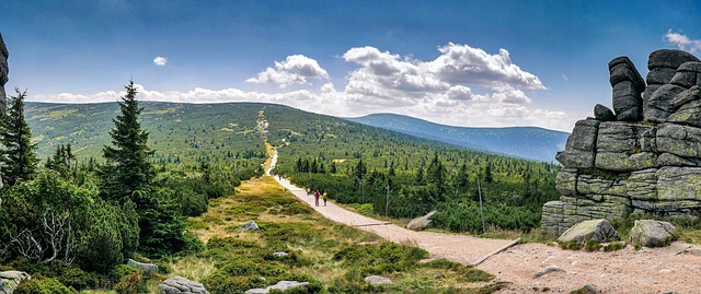 Free View Panorama photo and picture