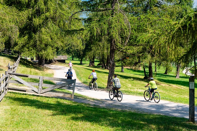 Free To Go Biking Cycle photo and picture