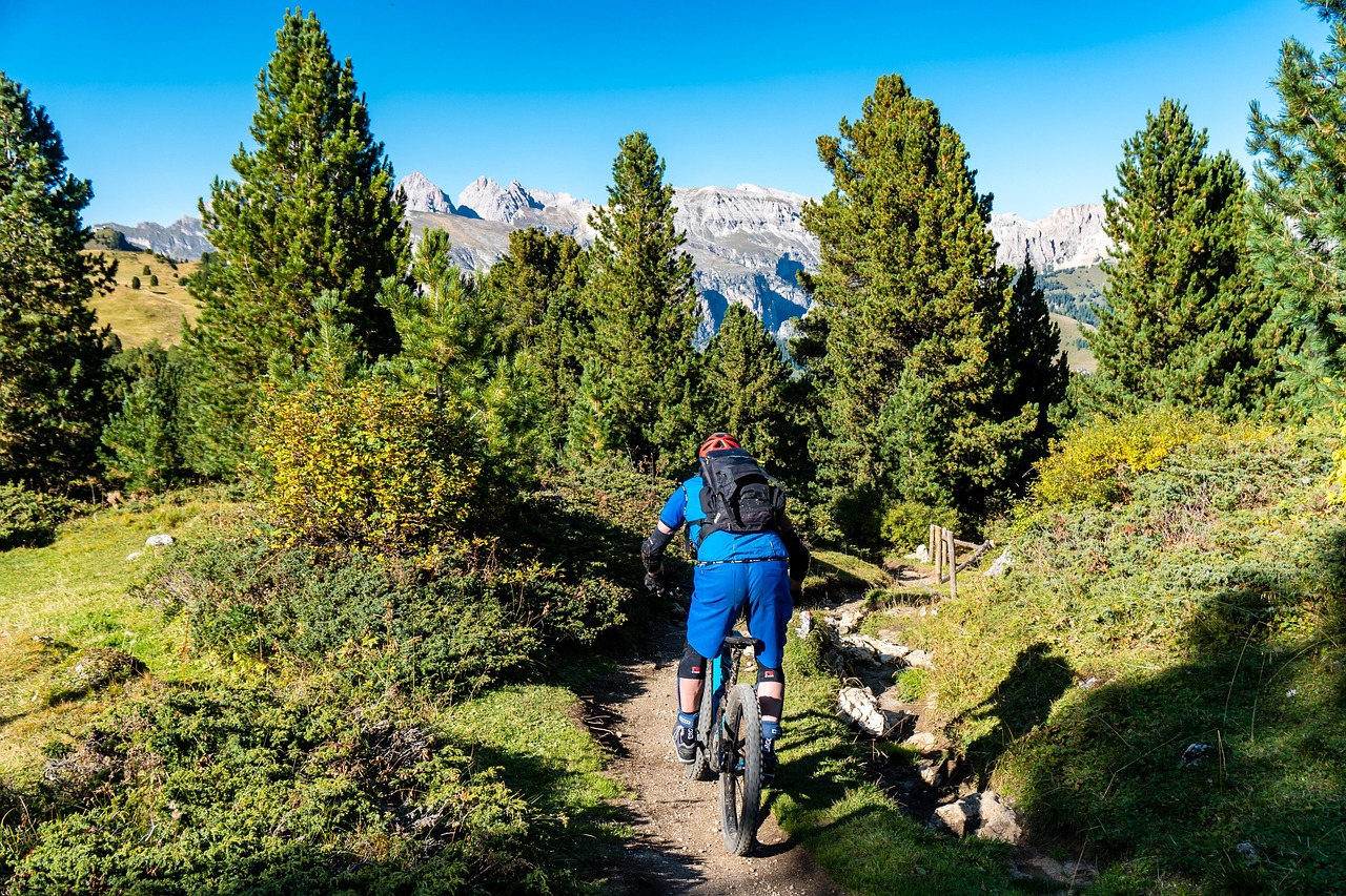 Mountain Bike Dolomites Bicycle Free photo on Pixabay Pixabay