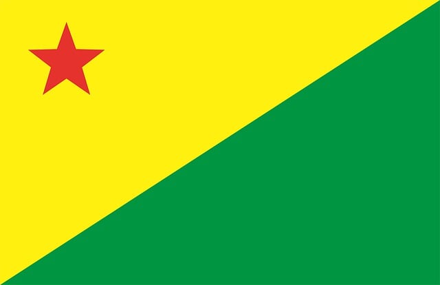 Flagg Fra Delstatene Brasil